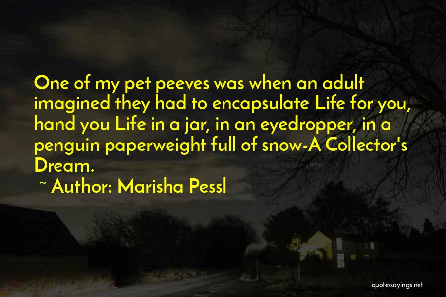 Marisha Pessl Quotes: One Of My Pet Peeves Was When An Adult Imagined They Had To Encapsulate Life For You, Hand You Life