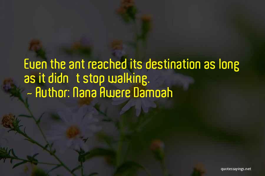 Nana Awere Damoah Quotes: Even The Ant Reached Its Destination As Long As It Didn't Stop Walking.
