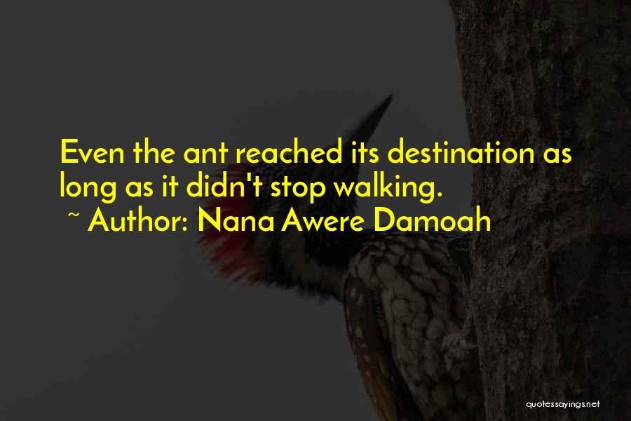 Nana Awere Damoah Quotes: Even The Ant Reached Its Destination As Long As It Didn't Stop Walking.