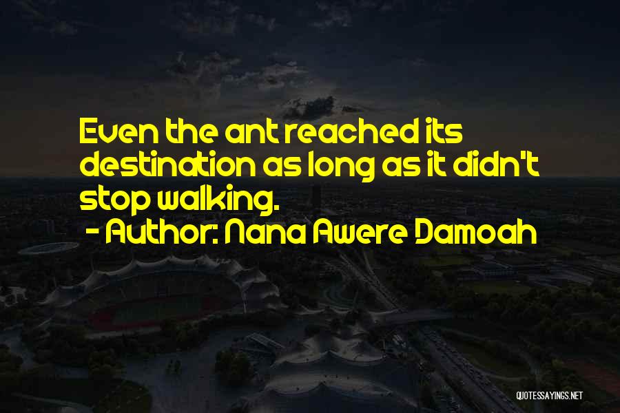 Nana Awere Damoah Quotes: Even The Ant Reached Its Destination As Long As It Didn't Stop Walking.