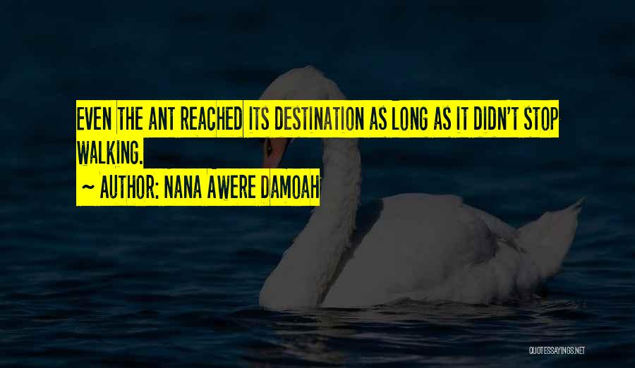 Nana Awere Damoah Quotes: Even The Ant Reached Its Destination As Long As It Didn't Stop Walking.