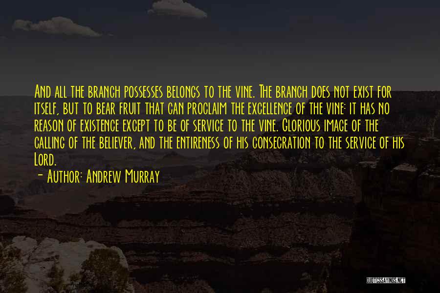 Andrew Murray Quotes: And All The Branch Possesses Belongs To The Vine. The Branch Does Not Exist For Itself, But To Bear Fruit