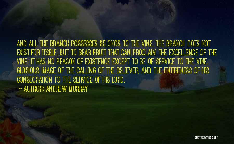 Andrew Murray Quotes: And All The Branch Possesses Belongs To The Vine. The Branch Does Not Exist For Itself, But To Bear Fruit