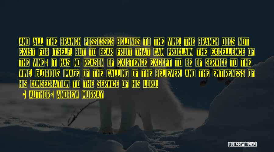 Andrew Murray Quotes: And All The Branch Possesses Belongs To The Vine. The Branch Does Not Exist For Itself, But To Bear Fruit
