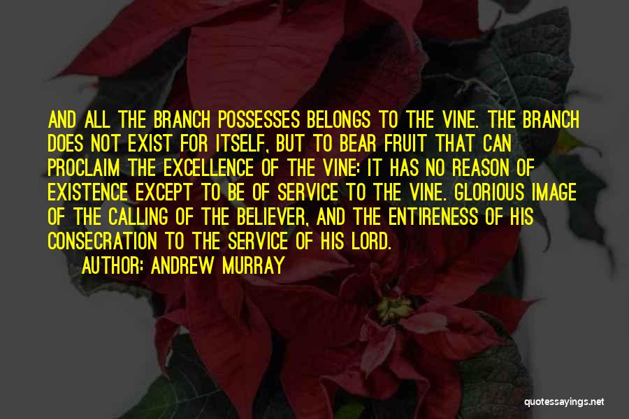 Andrew Murray Quotes: And All The Branch Possesses Belongs To The Vine. The Branch Does Not Exist For Itself, But To Bear Fruit