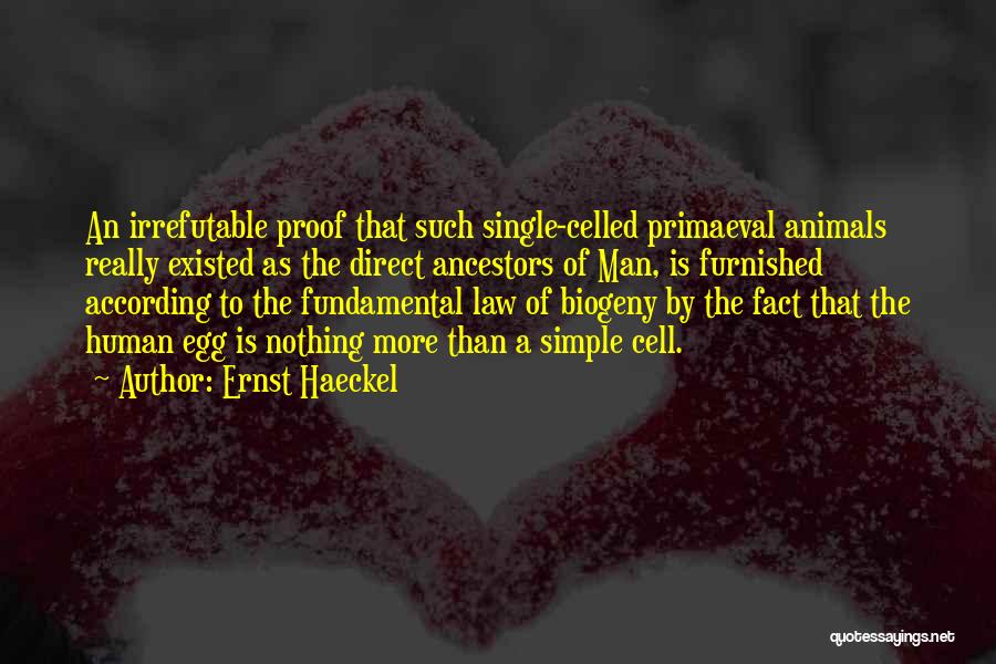 Ernst Haeckel Quotes: An Irrefutable Proof That Such Single-celled Primaeval Animals Really Existed As The Direct Ancestors Of Man, Is Furnished According To