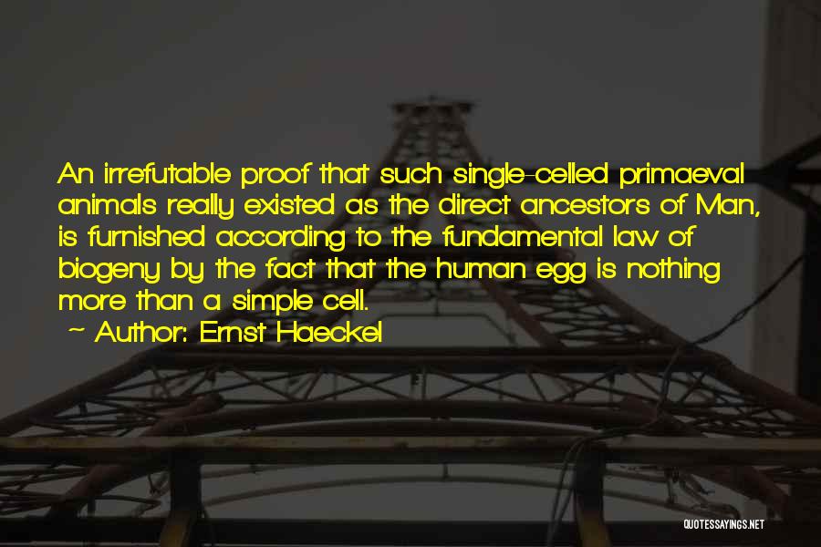 Ernst Haeckel Quotes: An Irrefutable Proof That Such Single-celled Primaeval Animals Really Existed As The Direct Ancestors Of Man, Is Furnished According To