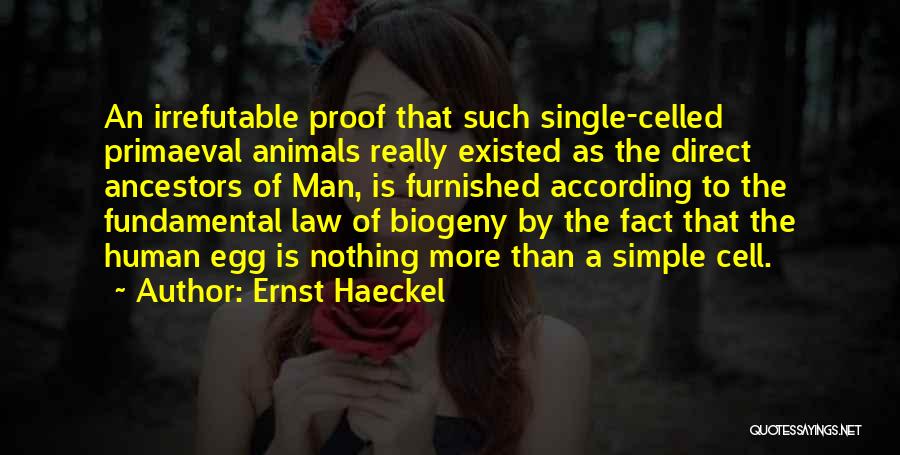 Ernst Haeckel Quotes: An Irrefutable Proof That Such Single-celled Primaeval Animals Really Existed As The Direct Ancestors Of Man, Is Furnished According To