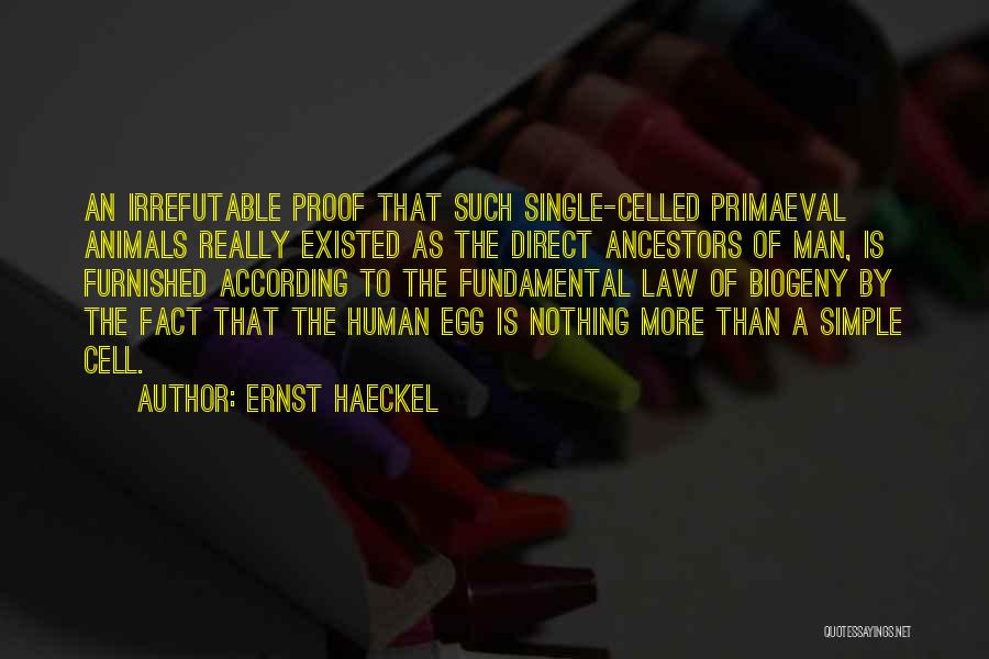 Ernst Haeckel Quotes: An Irrefutable Proof That Such Single-celled Primaeval Animals Really Existed As The Direct Ancestors Of Man, Is Furnished According To