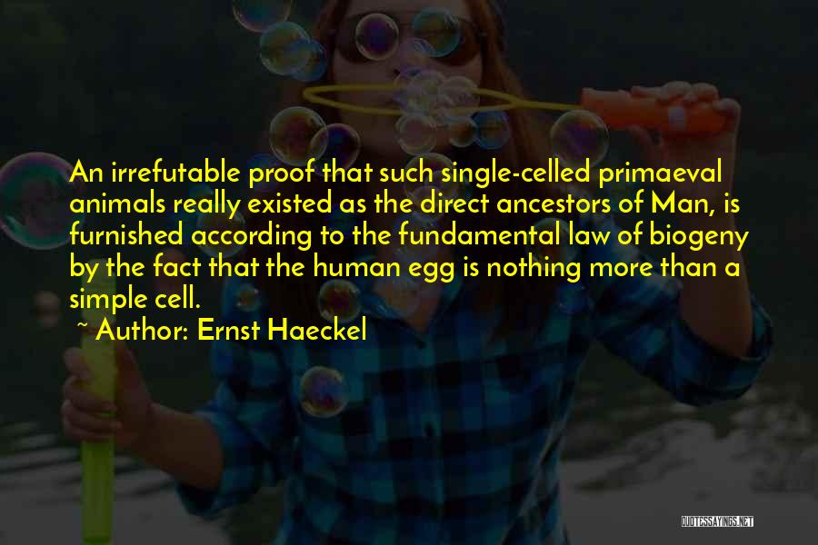 Ernst Haeckel Quotes: An Irrefutable Proof That Such Single-celled Primaeval Animals Really Existed As The Direct Ancestors Of Man, Is Furnished According To