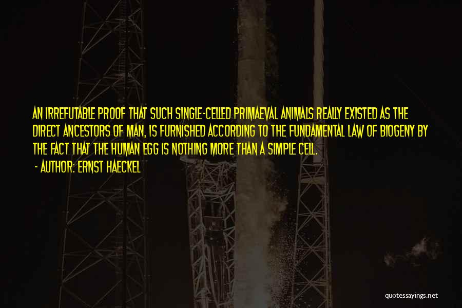 Ernst Haeckel Quotes: An Irrefutable Proof That Such Single-celled Primaeval Animals Really Existed As The Direct Ancestors Of Man, Is Furnished According To