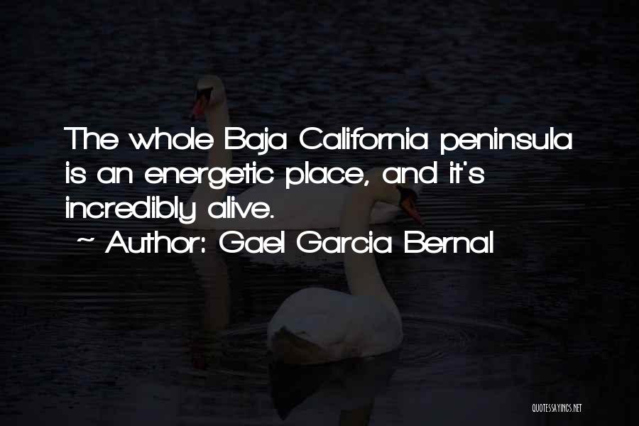 Gael Garcia Bernal Quotes: The Whole Baja California Peninsula Is An Energetic Place, And It's Incredibly Alive.