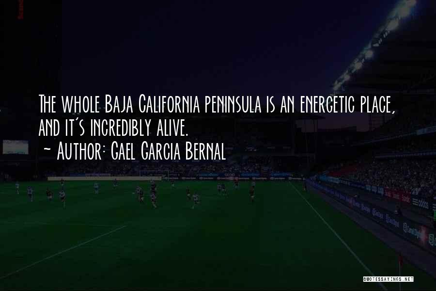 Gael Garcia Bernal Quotes: The Whole Baja California Peninsula Is An Energetic Place, And It's Incredibly Alive.