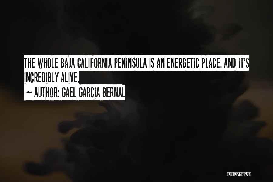 Gael Garcia Bernal Quotes: The Whole Baja California Peninsula Is An Energetic Place, And It's Incredibly Alive.