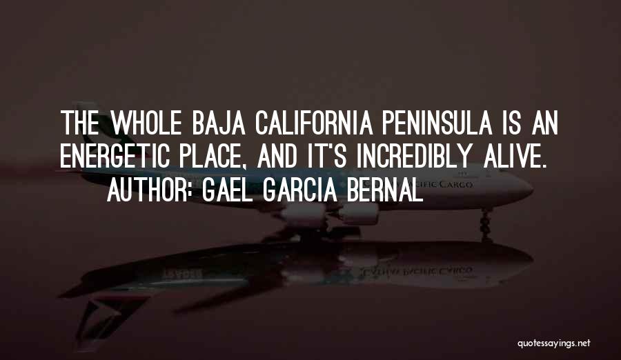 Gael Garcia Bernal Quotes: The Whole Baja California Peninsula Is An Energetic Place, And It's Incredibly Alive.
