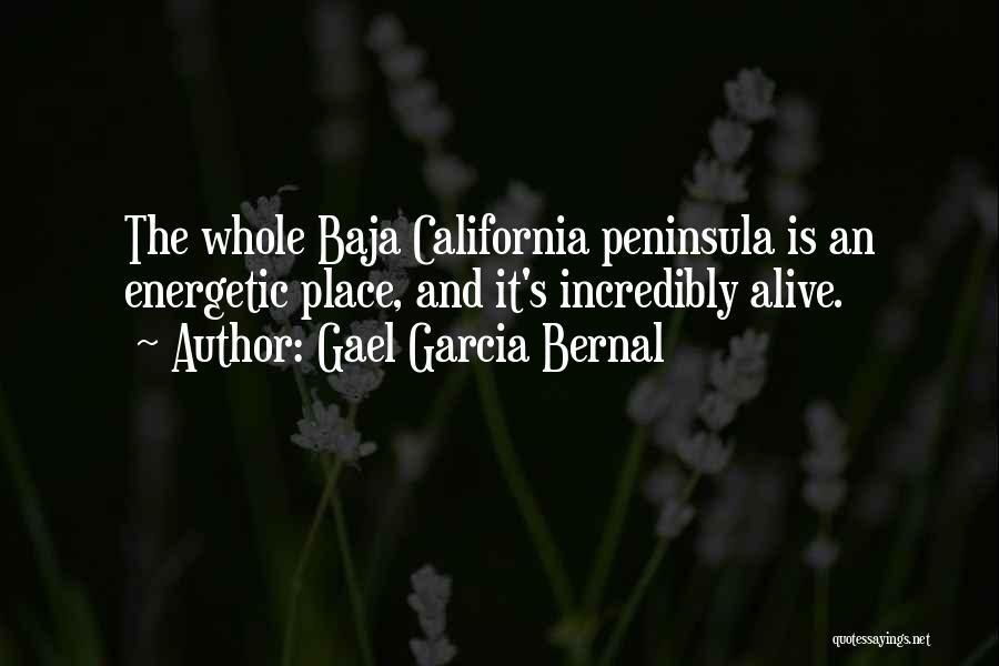 Gael Garcia Bernal Quotes: The Whole Baja California Peninsula Is An Energetic Place, And It's Incredibly Alive.