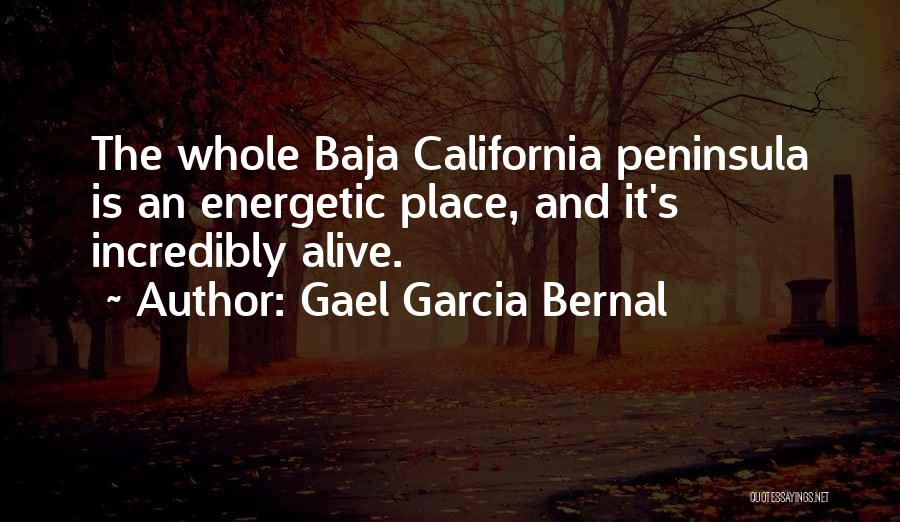 Gael Garcia Bernal Quotes: The Whole Baja California Peninsula Is An Energetic Place, And It's Incredibly Alive.