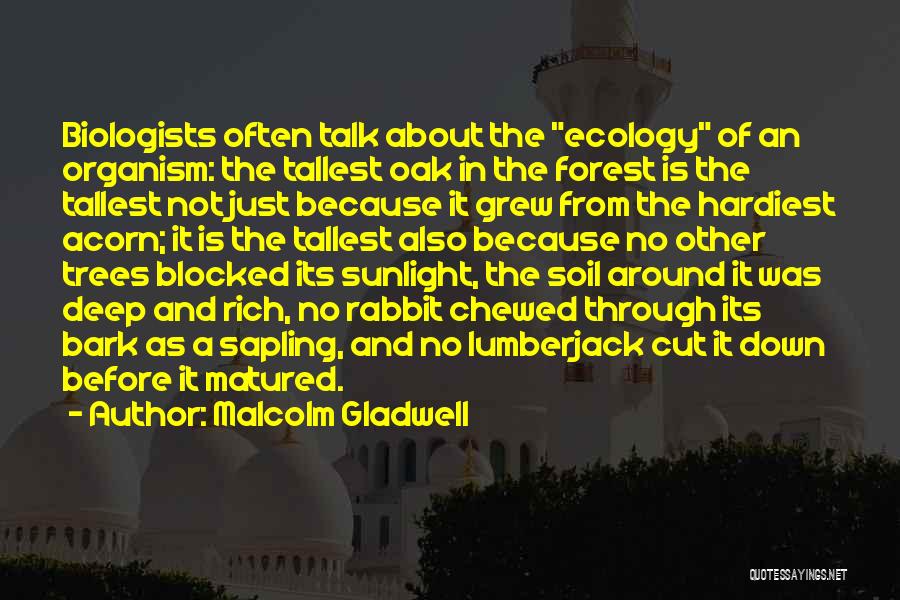 Malcolm Gladwell Quotes: Biologists Often Talk About The Ecology Of An Organism: The Tallest Oak In The Forest Is The Tallest Not Just