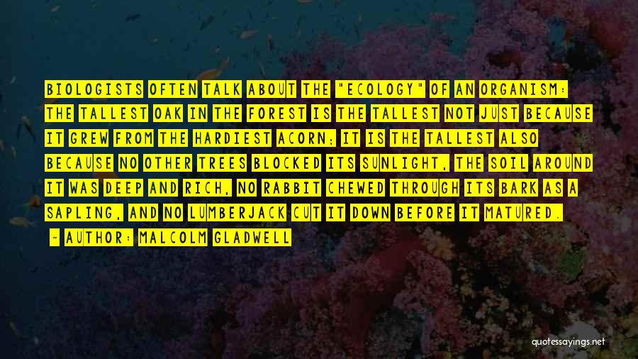 Malcolm Gladwell Quotes: Biologists Often Talk About The Ecology Of An Organism: The Tallest Oak In The Forest Is The Tallest Not Just