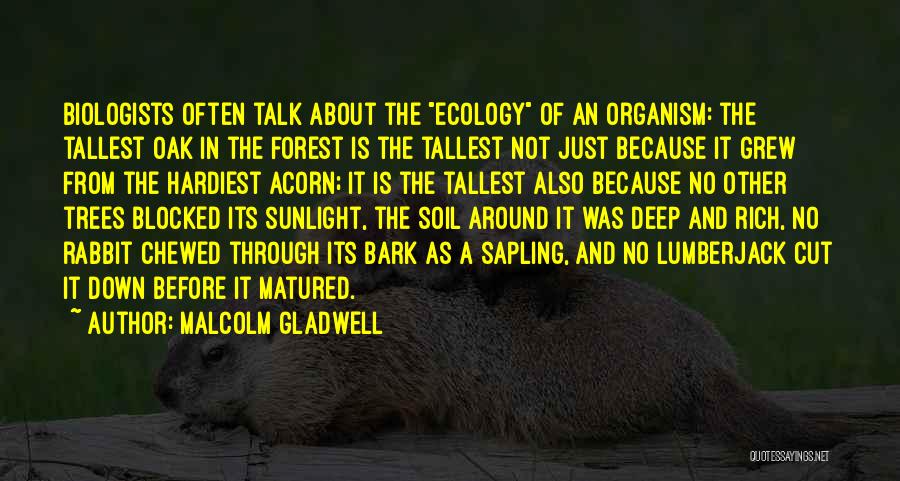 Malcolm Gladwell Quotes: Biologists Often Talk About The Ecology Of An Organism: The Tallest Oak In The Forest Is The Tallest Not Just