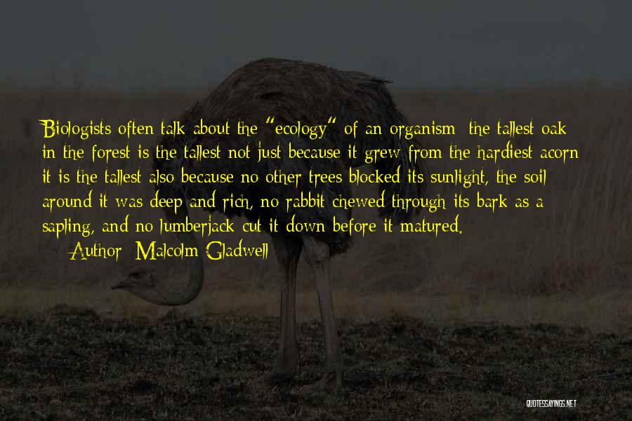 Malcolm Gladwell Quotes: Biologists Often Talk About The Ecology Of An Organism: The Tallest Oak In The Forest Is The Tallest Not Just