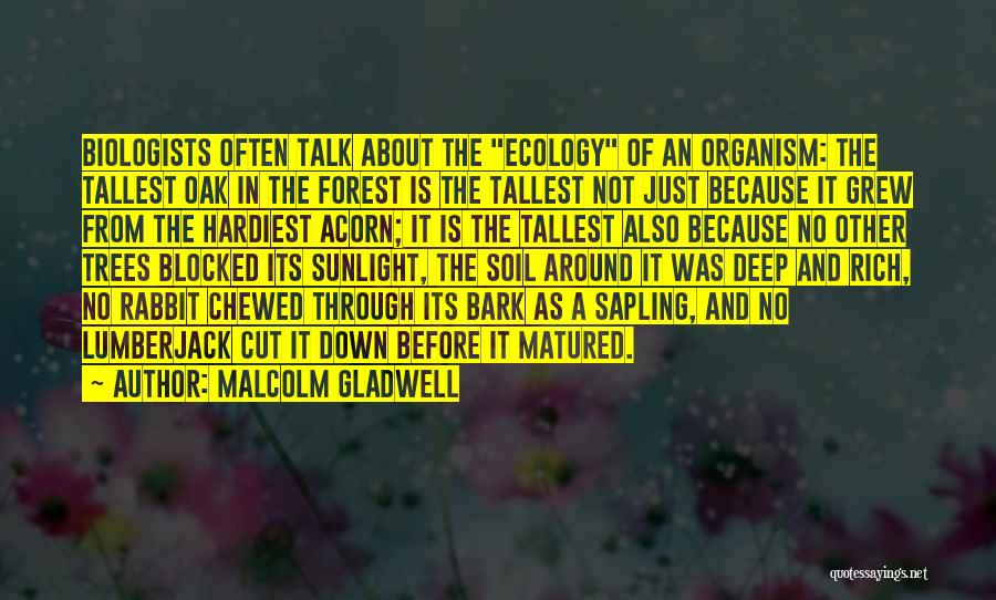 Malcolm Gladwell Quotes: Biologists Often Talk About The Ecology Of An Organism: The Tallest Oak In The Forest Is The Tallest Not Just