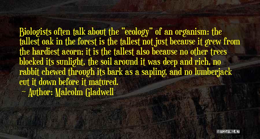 Malcolm Gladwell Quotes: Biologists Often Talk About The Ecology Of An Organism: The Tallest Oak In The Forest Is The Tallest Not Just