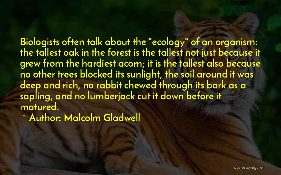 Malcolm Gladwell Quotes: Biologists Often Talk About The Ecology Of An Organism: The Tallest Oak In The Forest Is The Tallest Not Just