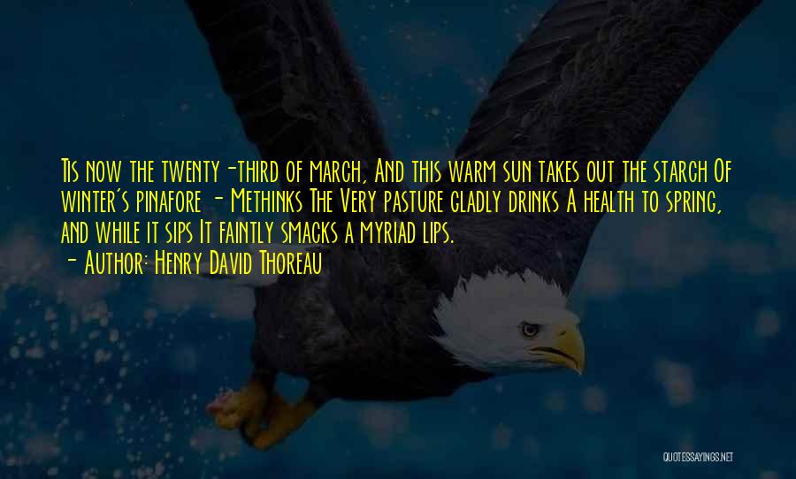 Henry David Thoreau Quotes: Tis Now The Twenty-third Of March, And This Warm Sun Takes Out The Starch Of Winter's Pinafore - Methinks The