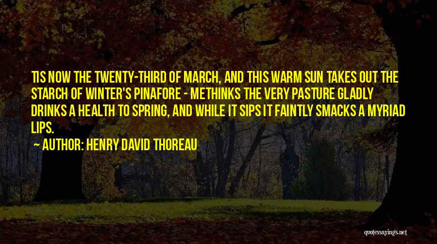 Henry David Thoreau Quotes: Tis Now The Twenty-third Of March, And This Warm Sun Takes Out The Starch Of Winter's Pinafore - Methinks The