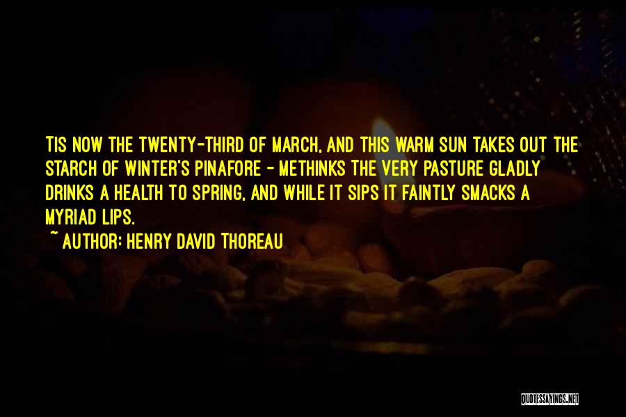 Henry David Thoreau Quotes: Tis Now The Twenty-third Of March, And This Warm Sun Takes Out The Starch Of Winter's Pinafore - Methinks The