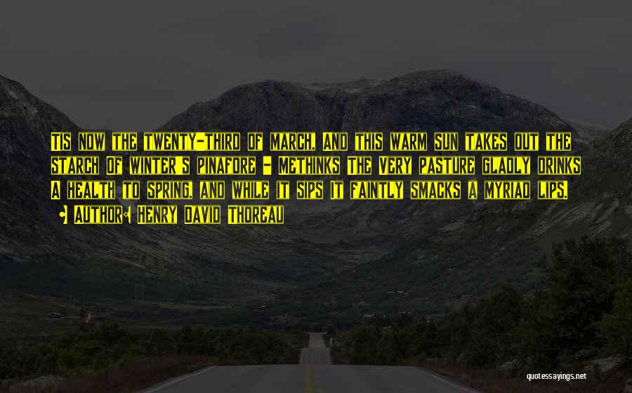 Henry David Thoreau Quotes: Tis Now The Twenty-third Of March, And This Warm Sun Takes Out The Starch Of Winter's Pinafore - Methinks The