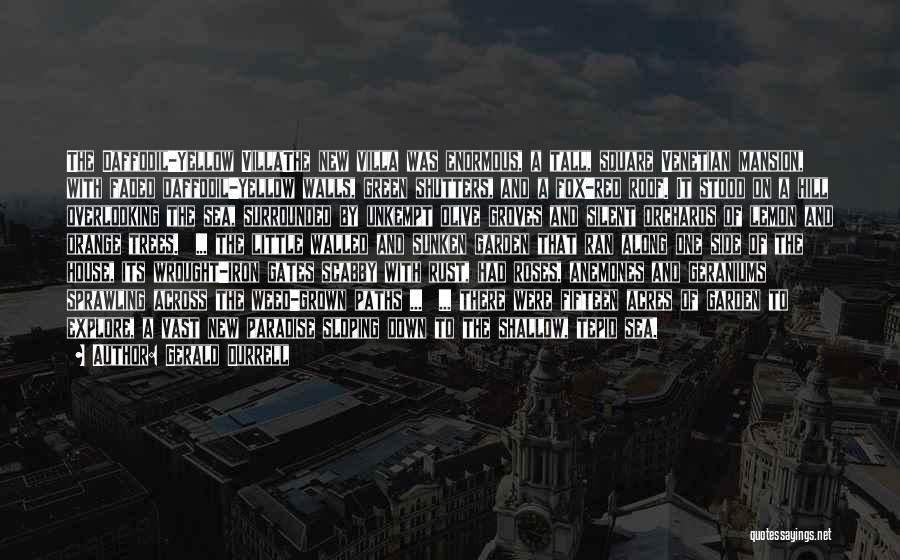 Gerald Durrell Quotes: The Daffodil-yellow Villathe New Villa Was Enormous, A Tall, Square Venetian Mansion, With Faded Daffodil-yellow Walls, Green Shutters, And A
