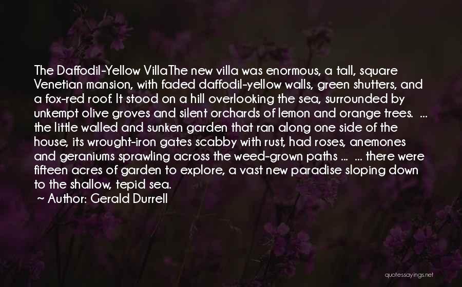Gerald Durrell Quotes: The Daffodil-yellow Villathe New Villa Was Enormous, A Tall, Square Venetian Mansion, With Faded Daffodil-yellow Walls, Green Shutters, And A