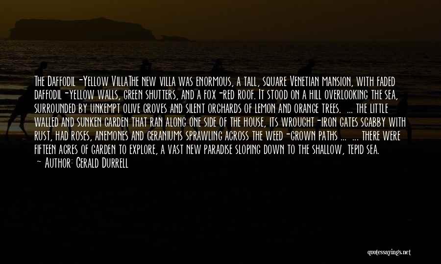 Gerald Durrell Quotes: The Daffodil-yellow Villathe New Villa Was Enormous, A Tall, Square Venetian Mansion, With Faded Daffodil-yellow Walls, Green Shutters, And A