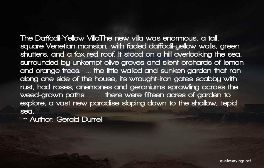 Gerald Durrell Quotes: The Daffodil-yellow Villathe New Villa Was Enormous, A Tall, Square Venetian Mansion, With Faded Daffodil-yellow Walls, Green Shutters, And A