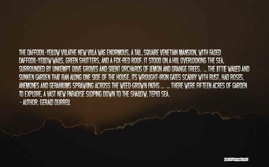 Gerald Durrell Quotes: The Daffodil-yellow Villathe New Villa Was Enormous, A Tall, Square Venetian Mansion, With Faded Daffodil-yellow Walls, Green Shutters, And A