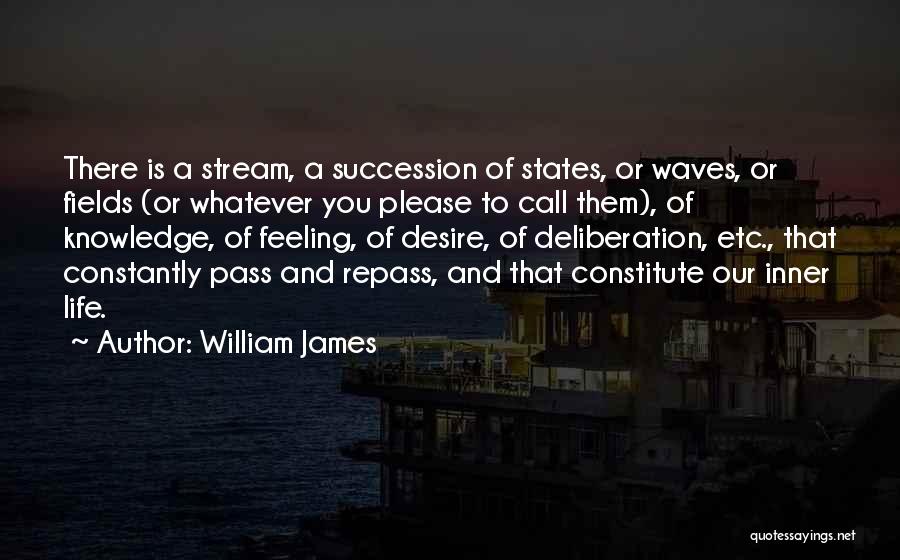 William James Quotes: There Is A Stream, A Succession Of States, Or Waves, Or Fields (or Whatever You Please To Call Them), Of