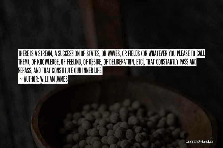 William James Quotes: There Is A Stream, A Succession Of States, Or Waves, Or Fields (or Whatever You Please To Call Them), Of