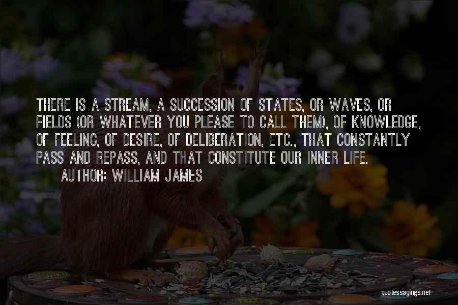 William James Quotes: There Is A Stream, A Succession Of States, Or Waves, Or Fields (or Whatever You Please To Call Them), Of
