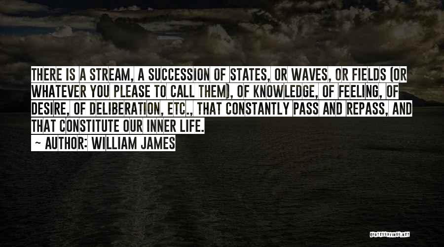 William James Quotes: There Is A Stream, A Succession Of States, Or Waves, Or Fields (or Whatever You Please To Call Them), Of