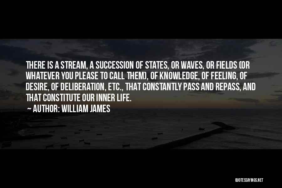 William James Quotes: There Is A Stream, A Succession Of States, Or Waves, Or Fields (or Whatever You Please To Call Them), Of