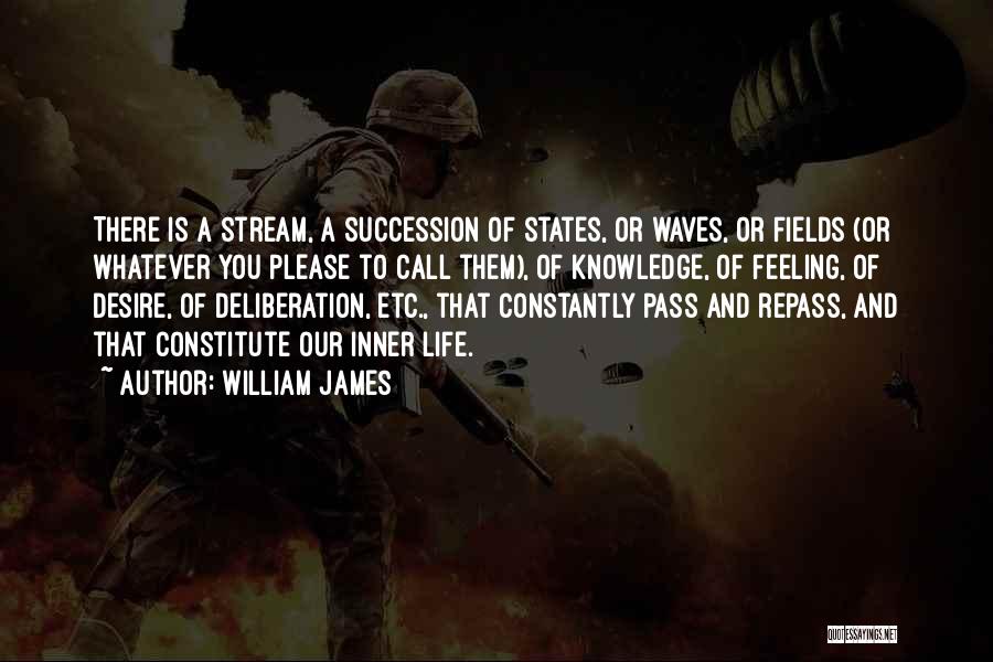 William James Quotes: There Is A Stream, A Succession Of States, Or Waves, Or Fields (or Whatever You Please To Call Them), Of