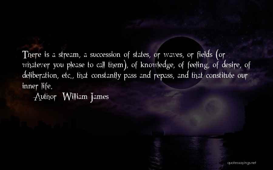 William James Quotes: There Is A Stream, A Succession Of States, Or Waves, Or Fields (or Whatever You Please To Call Them), Of