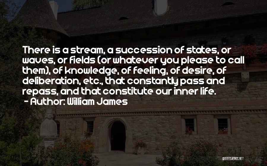 William James Quotes: There Is A Stream, A Succession Of States, Or Waves, Or Fields (or Whatever You Please To Call Them), Of