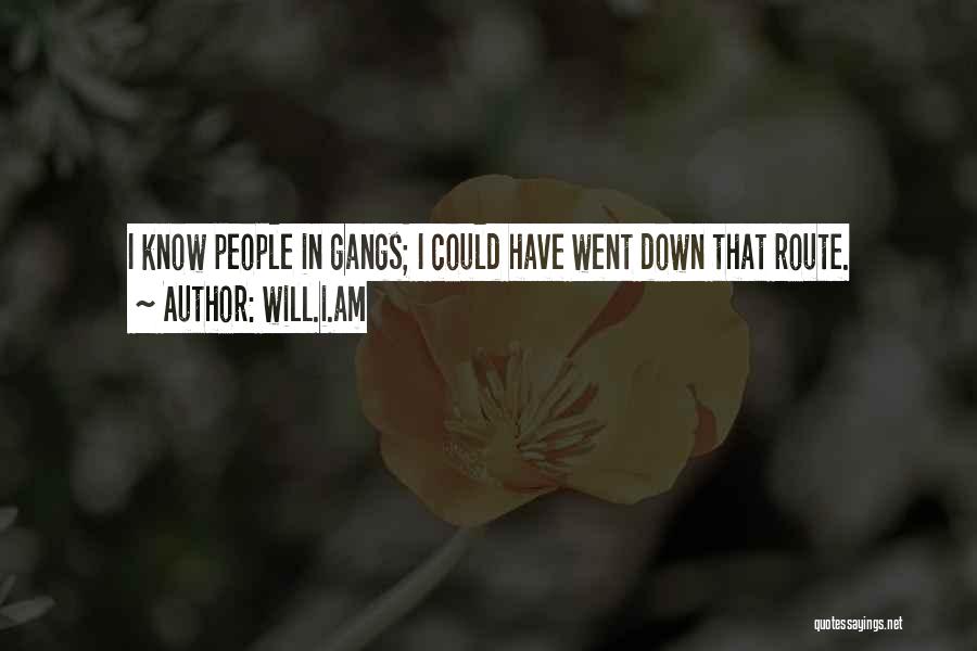 Will.i.am Quotes: I Know People In Gangs; I Could Have Went Down That Route.