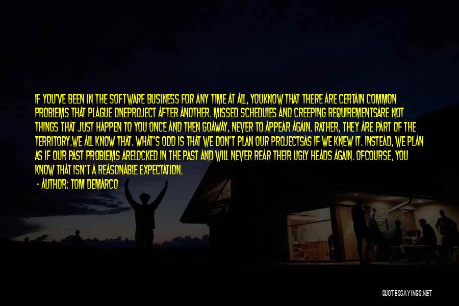 Tom DeMarco Quotes: If You've Been In The Software Business For Any Time At All, Youknow That There Are Certain Common Problems That