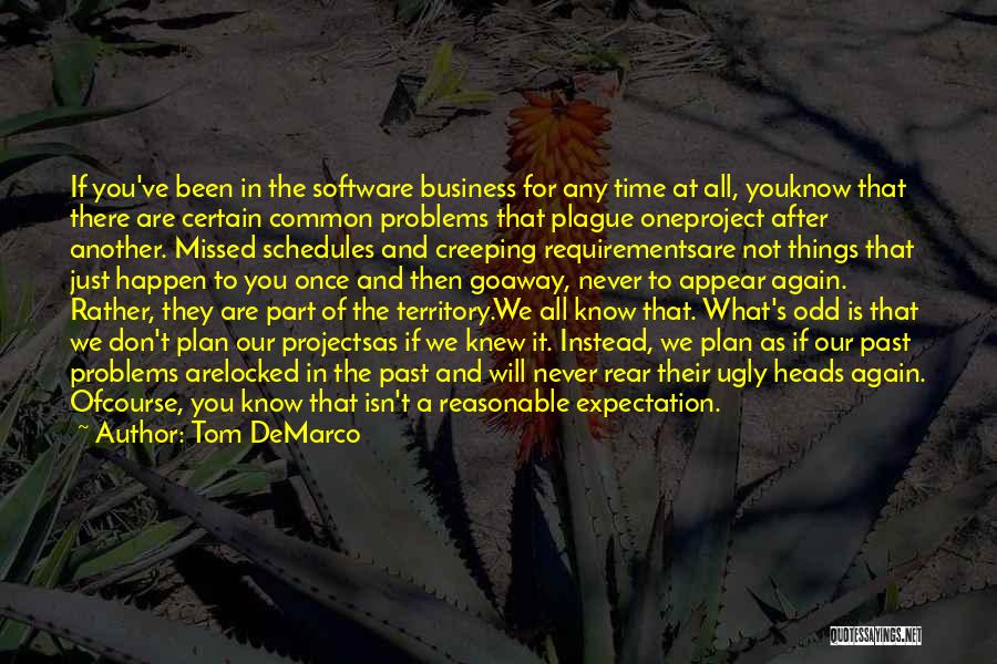 Tom DeMarco Quotes: If You've Been In The Software Business For Any Time At All, Youknow That There Are Certain Common Problems That