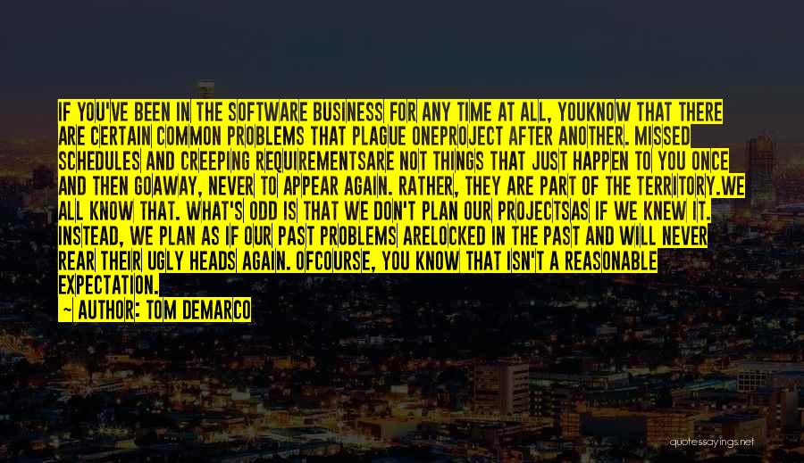 Tom DeMarco Quotes: If You've Been In The Software Business For Any Time At All, Youknow That There Are Certain Common Problems That