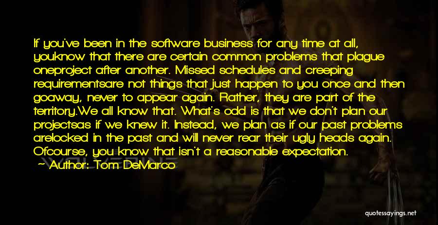 Tom DeMarco Quotes: If You've Been In The Software Business For Any Time At All, Youknow That There Are Certain Common Problems That